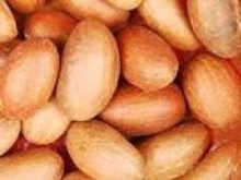 100000000mt of fresh bitter kola for sale - product's photo