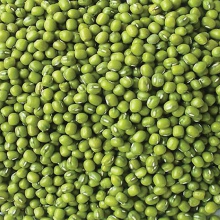 high quality new crop bulk green mung beans - product's photo