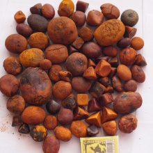 cow ox gallstones - product's photo