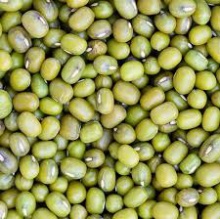 mung beans - product's photo