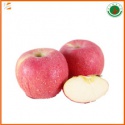  new season organic best price - product's photo