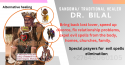 love spells +27648060105 death spell that works instantly in dubai, pr - product's photo