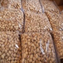 pistachio nuts - product's photo