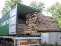 wet salted donkey hides -well processed - product's photo
