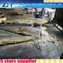 seafood big size mahi mahi - product's photo