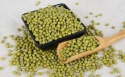 green mung bean - product's photo