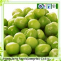 canned green peas - product's photo