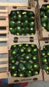 avocados  - product's photo