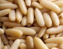 roasted pine nuts , cooked pine nuts, pine nuts at cheap price - product's photo