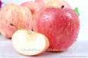 fuji variety and fresh apples fruit - product's photo